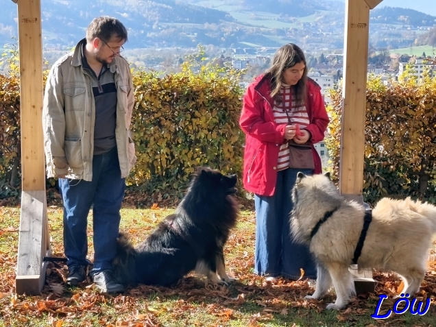 1.11.2025 - Chaos beim Foto Aufbau